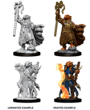 D&D Nolzur's Marvelous Miniatures: Dragonborn Sorcerer