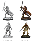 D&D Nolzur's Marvelous Miniatures: Vampire Hunters