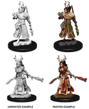D&D Nolzur's Marvelous Miniatures: Human Druid