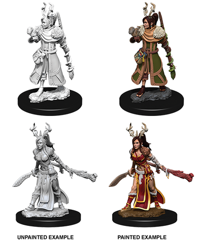 D&D Nolzur's Marvelous Miniatures: Human Druid