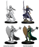 D&D Nolzur's Marvelous Miniatures: Elf Paladin