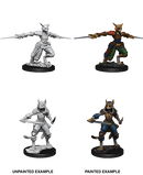 D&D Nolzur's Marvelous Miniatures: Tabaxi Rogue