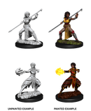 D&D Nolzur's Marvelous Miniatures: Half-Elf Monk