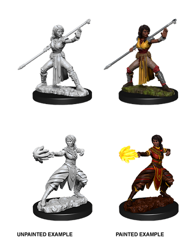 D&D Nolzur's Marvelous Miniatures: Half-Elf Monk