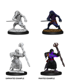D&D Nolzur's Marvelous Miniatures: Kenku Adventurers