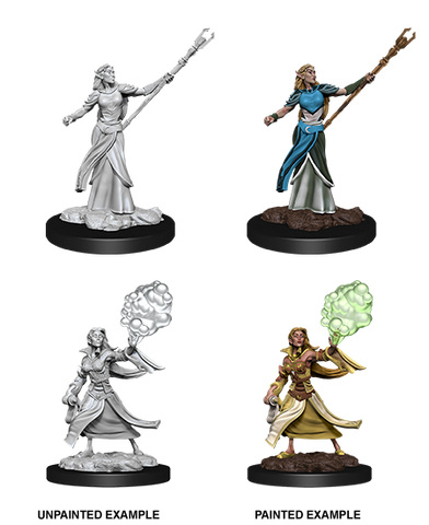 D&D Nolzur's Marvelous Miniatures: Female Elf Sorcerer