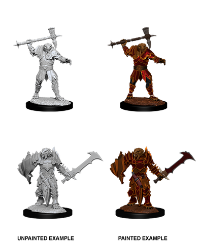 Male Dragonborn Paladin