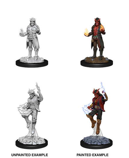 D&D Nolzur's Marvelous Miniatures: Male Tiefling Sorcerer