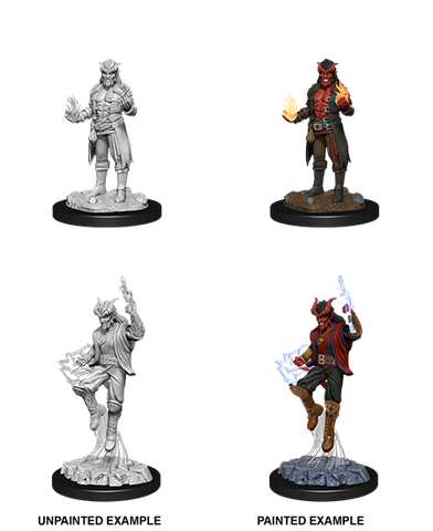 D&D Nolzur's Marvelous Miniatures: Male Tiefling Sorcerer