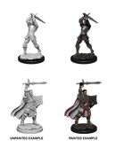 D&D Nolzur's Marvelous Miniatures: Male Human Paladin