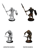 D&D Nolzur's Marvelous Miniatures: Gnoll and Gnoll Flesh Gnawer