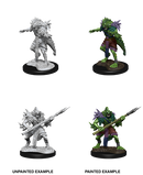 D&D Nolzur's Marvelous Miniatures: Sahuagin