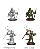 D&D Nolzur's Marvelous Miniatures: Lizardfolk and Lizardfolk Shaman