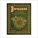 Boricubos Monsters and Adventures