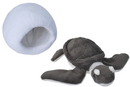 Hatchlings