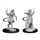 D&D Mini's: Female Tiefling Sorcerer