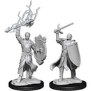 D&D Minis: Half-Elf Paladin