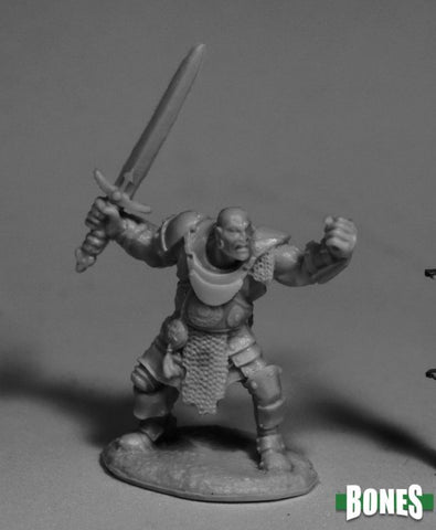 Human Fighter Bandit Bully