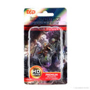 D&D Icons of the Realms: Premium Miniatures- Male Human Rogue