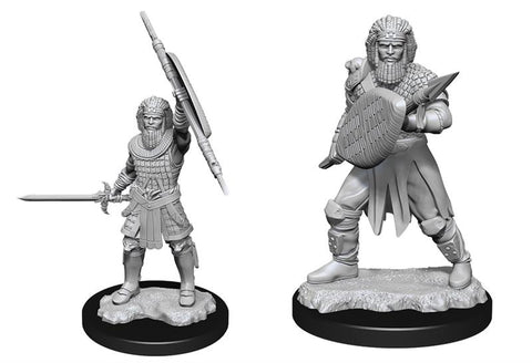 D&D Nolzur's Marvelous Miniatures: Male Human Fighter