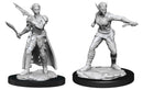 D&D Nolzur's Marvelous Miniatures: Female Shifter Rogue