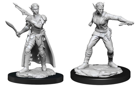 D&D Nolzur's Marvelous Miniatures: Female Shifter Rogue