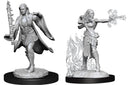D&D Nolzur's Marvelous Miniatures: Multiclass Warlock & Sorcerer (Female)