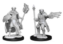 D&D Nolzur's Marvelous Miniatures: Male Multiclass Cleric+Wizard