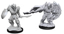 D&D Nolzur's Wave 15: Dragonborn Fighter Male