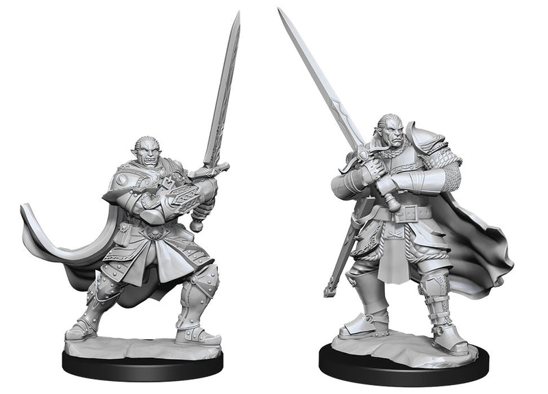 D&D Nolzur's Wave 15: Half-Orc Paladin Male