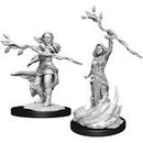 Nolzur's Marvelous Miniatures: Human Druid (Female)