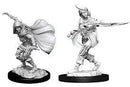 D&D Minis: Wave 14 - Female Human Rogue