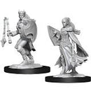 D&D Minis: Wave 14 - Kalashtar Cleric, Female