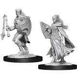 D&D Minis: Wave 14 - Kalashtar Cleric, Female