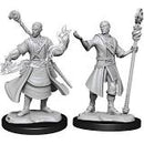 D&D Minis: Wave 14 - Half Elf Wizard, Male