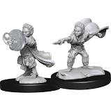 Pathfinder Minis: Wave 14 - Male Halfling Wizard
