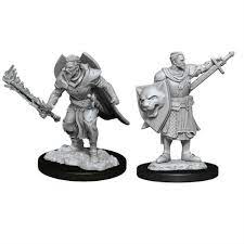 Pathfinder Minis: Wave 14 - Male Human Champion