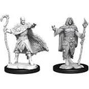 D&D Minis: Wave 14 - Human Druid, Male