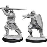 D&D Minis: Wave 14 - Human Paladin, male