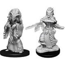 D&D Minis: Wave 14 - Night Hag & Dusk Hag