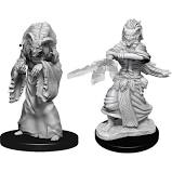 D&D Minis: Wave 14 - Night Hag & Dusk Hag
