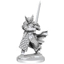 Frameworks: Dragonborn Paladin Male W1