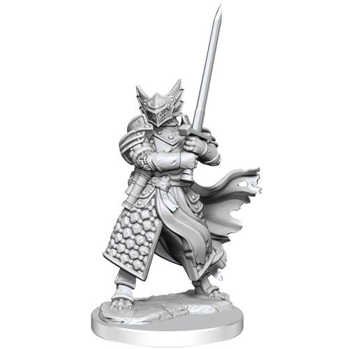 Frameworks: Dragonborn Paladin Male W1