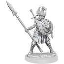 Frameworks: Human Fighter Female