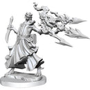 Frameworks: Dragonborn Sorcerer Female