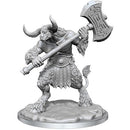 Frameworks: Minotaur
