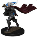 Pathfinder Battles: Elf Female Champion