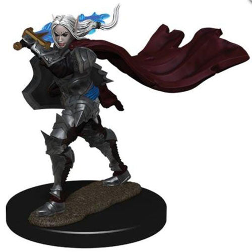Pathfinder Battles: Elf Female Champion
