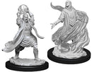 Nolzur's Marvelous Miniatures: Male Elf Sorcerer