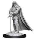 D&D Nolzur's Marvelous Miniatures: Male Human Paladin